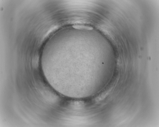 X0000088850304200706221707