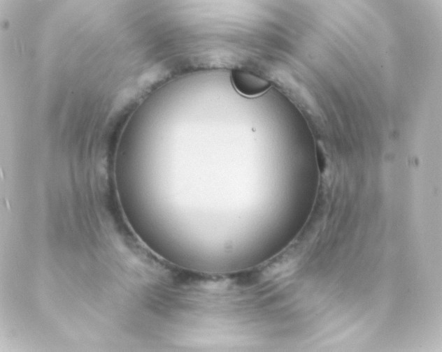 X0000088850306200706221707