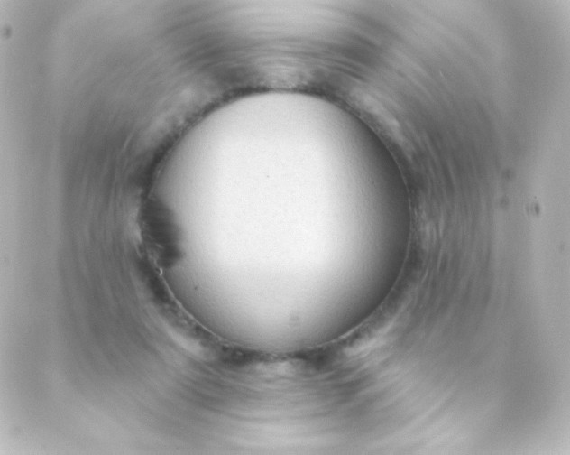 X0000088850307200706221707