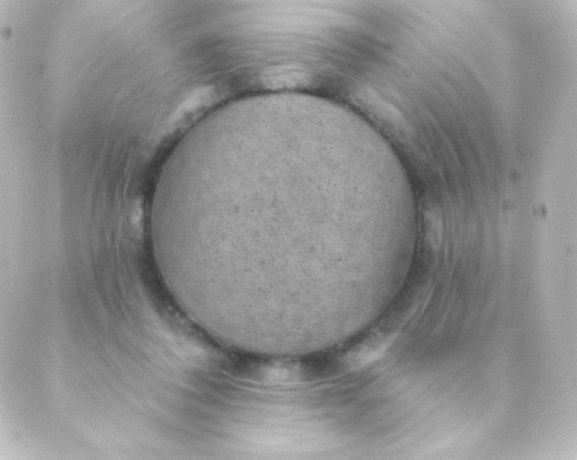 X0000088850308200706221707