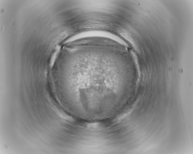 X0000088850309200706221707