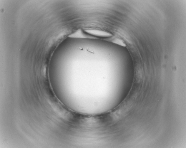 X0000088850310200706221707