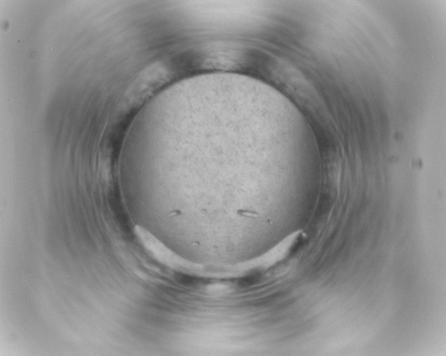 X0000088850312200706221707