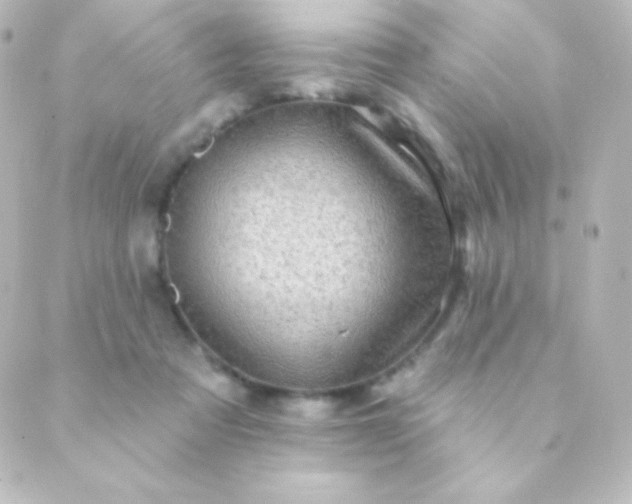 X0000088850313200706221707