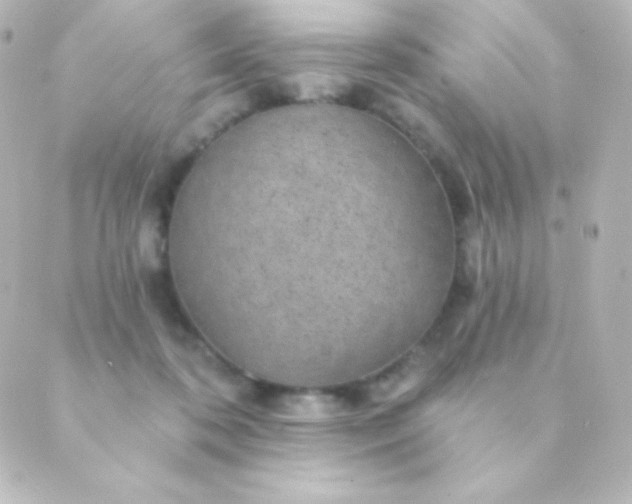 X0000088850316200706221707