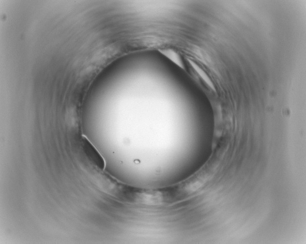 X0000088850317200706221706