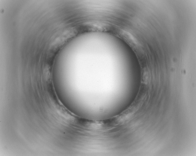 X0000088850318200706221706