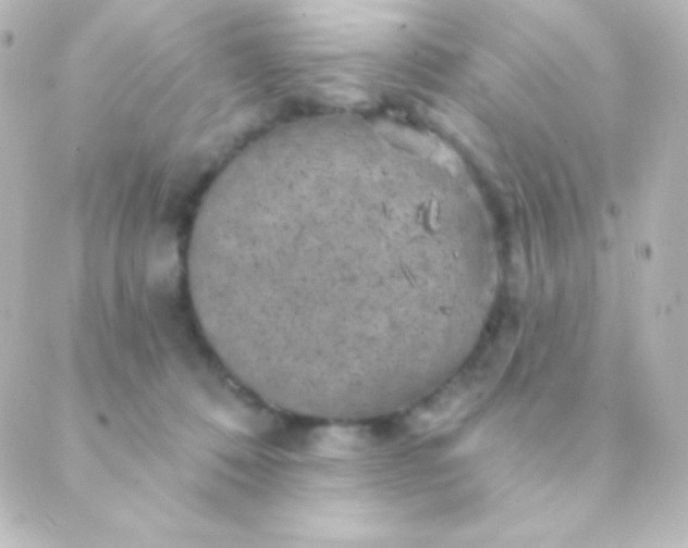 X0000088850320200706221706