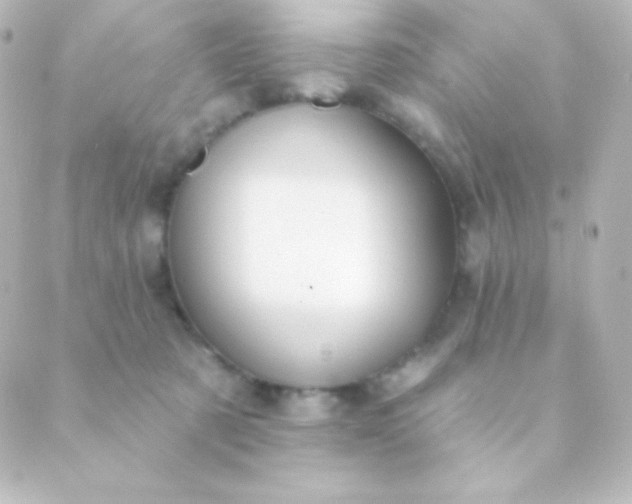 X0000088850321200706221706