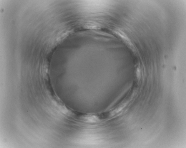 X0000088850322200706221706