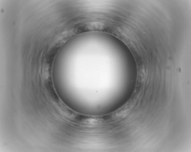 X0000088850323200706221706