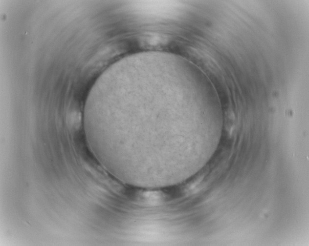 X0000088850324200706221706