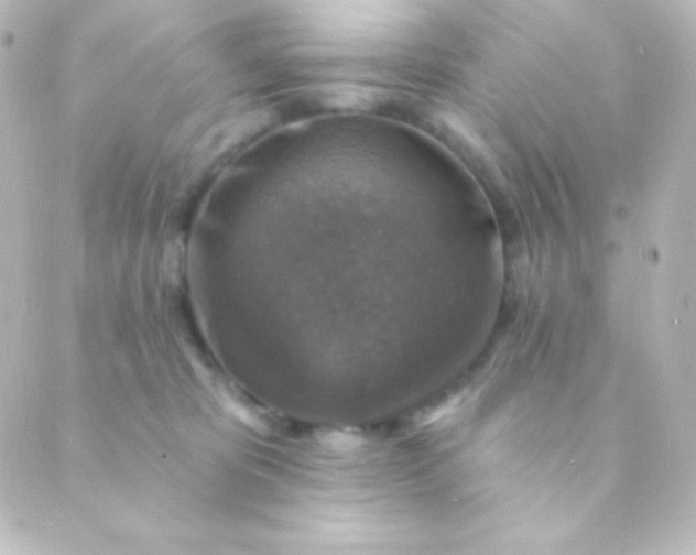 X0000088850325200706221706