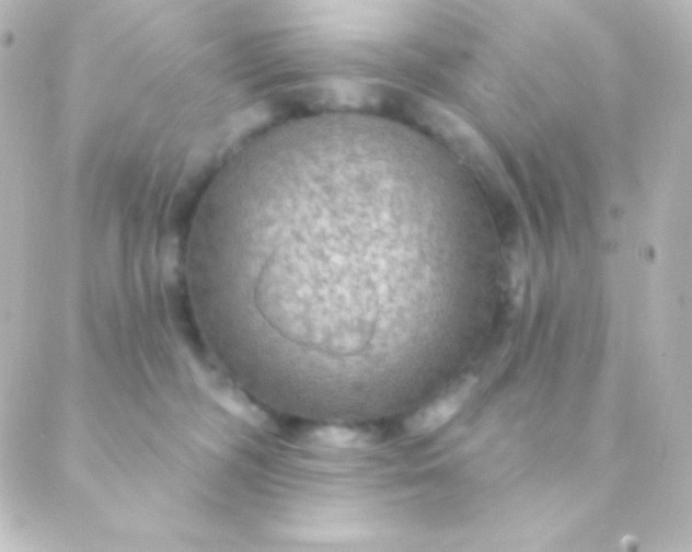 X0000088850326200706221706