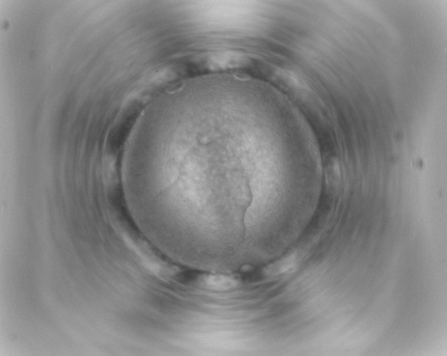 X0000088850327200706221706