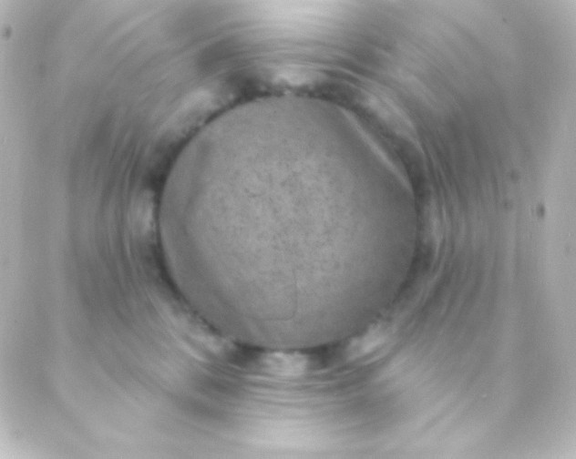 X0000088850328200706221706