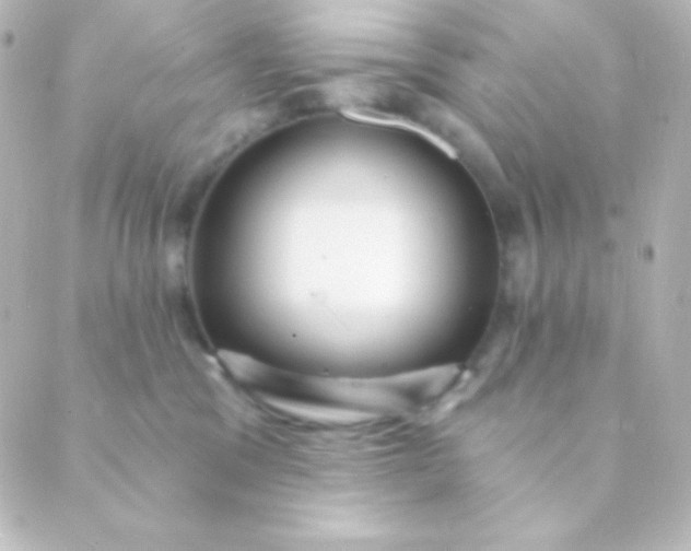 X0000088850329200706221706