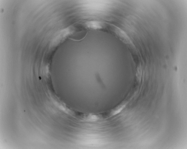 X0000088850330200706221706