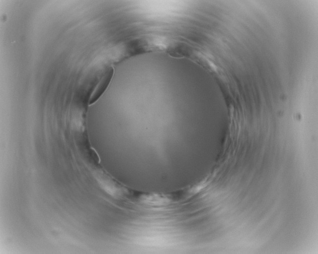 X0000088850331200706221706