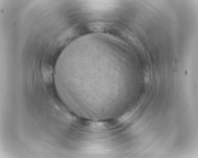 X0000088850332200706221706