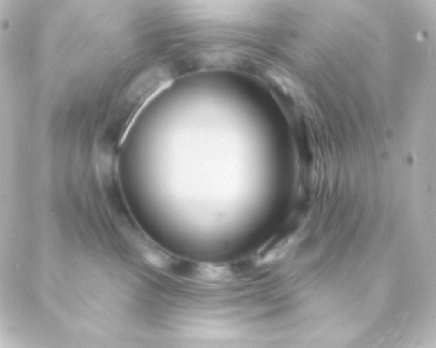 X0000088850333200706221706