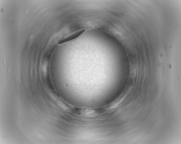 X0000088850334200706221706