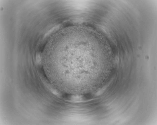 X0000088850335200706221706