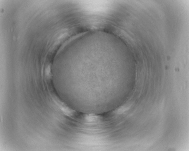 X0000088850336200706221706