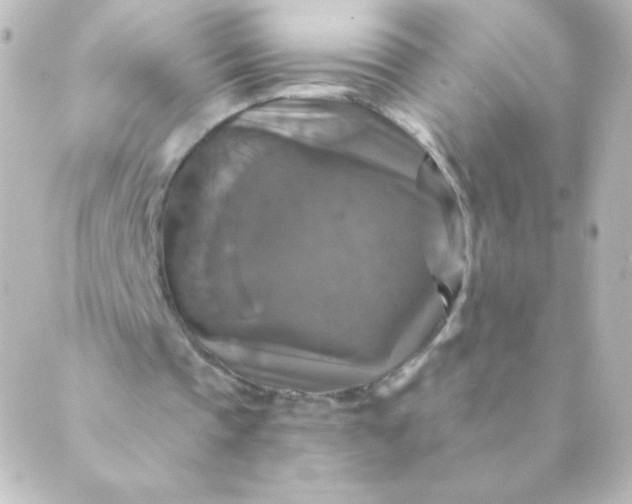 X0000088850337200706221705