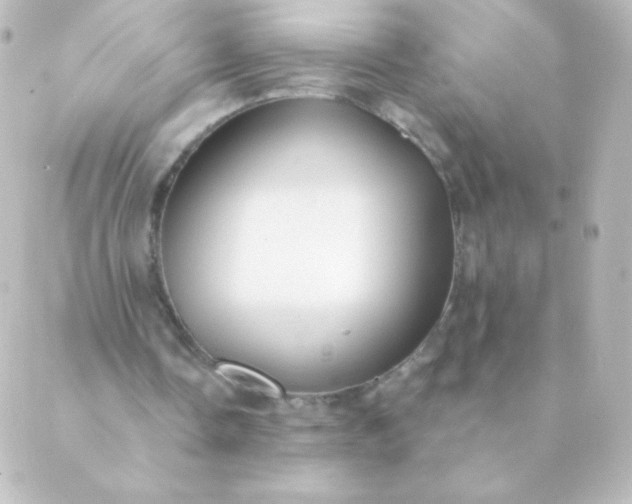 X0000088850338200706221705