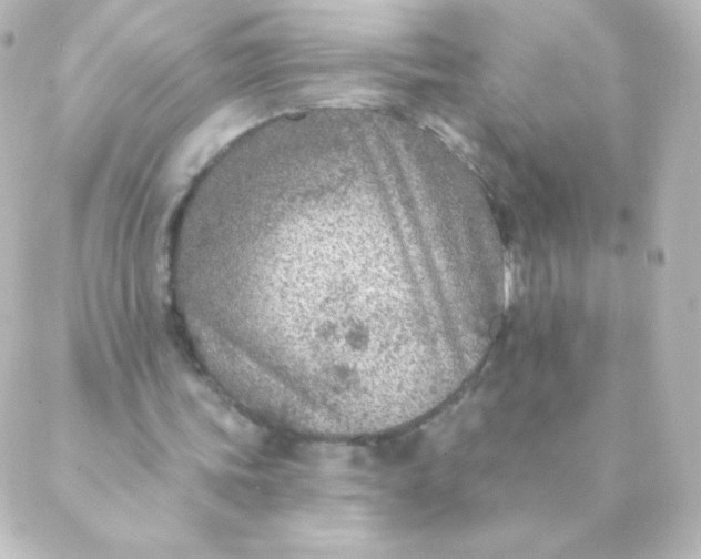 X0000088850339200706221705