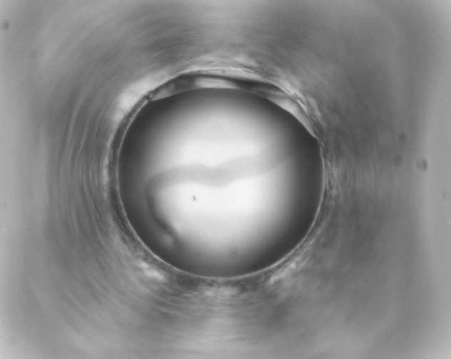 X0000088850340200706221705