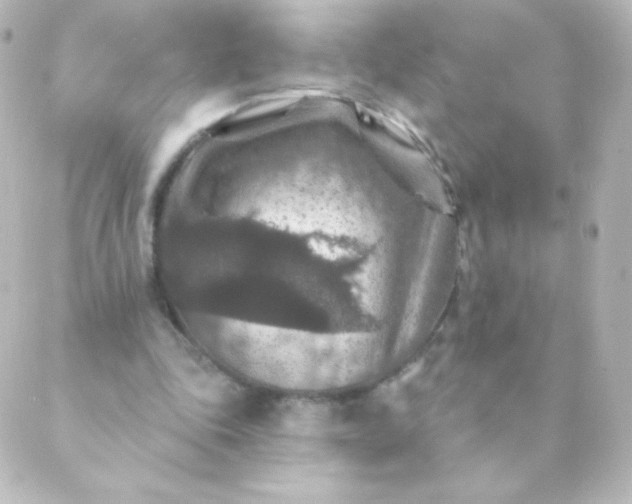 X0000088850343200706221706