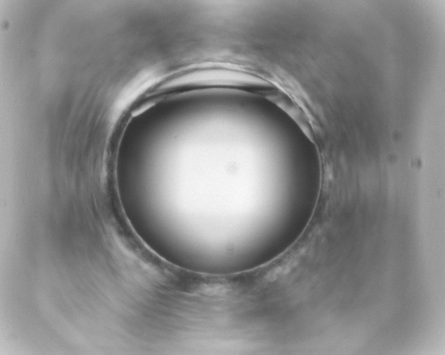 X0000088850344200706221706