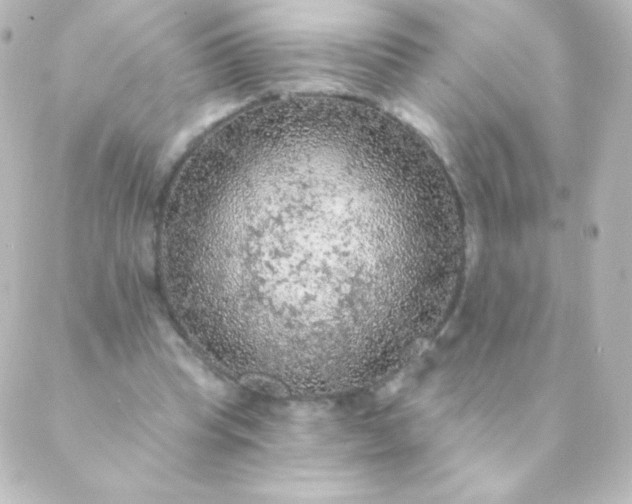 X0000088850345200706221706