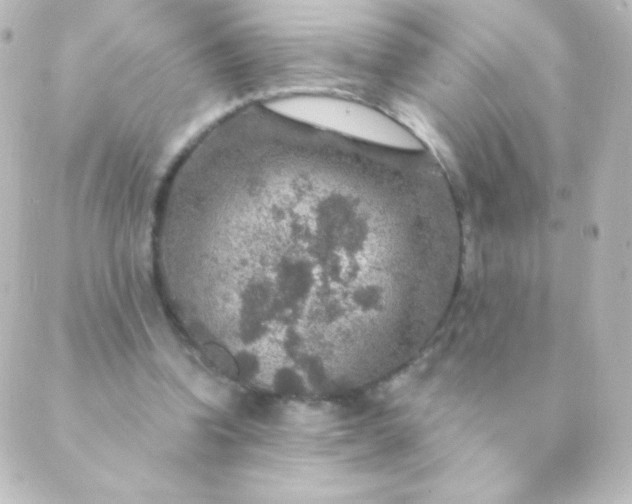 X0000088850346200706221706