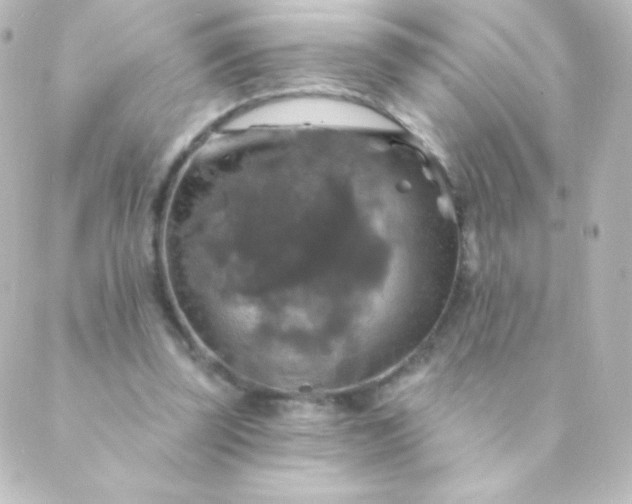 X0000088850347200706221706