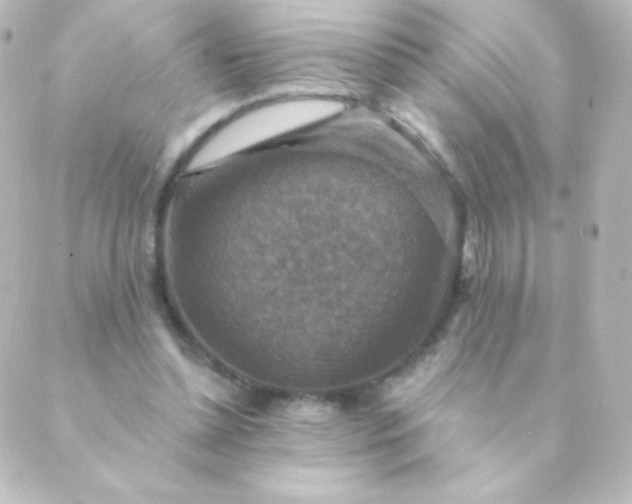 X0000088850348200706221706