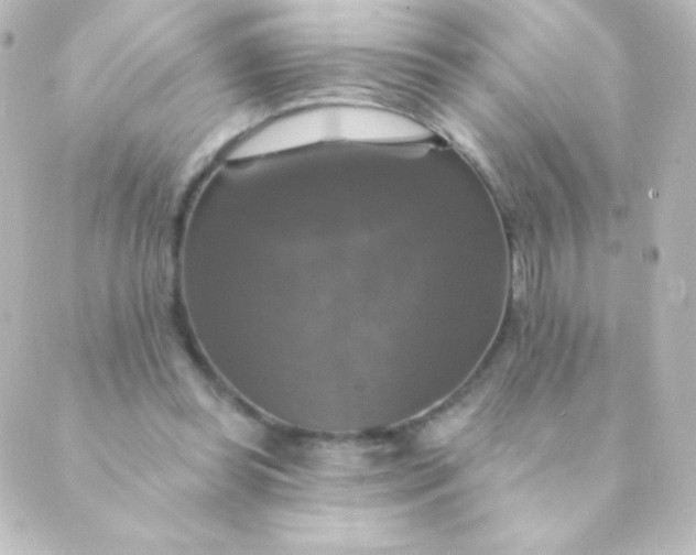 X0000088850349200706221706