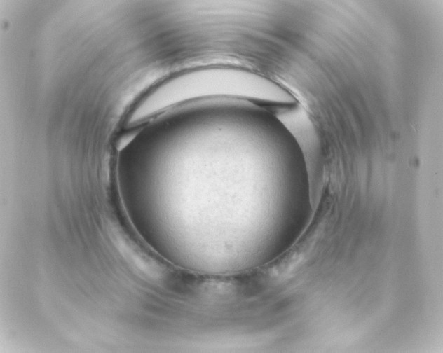 X0000088850350200706221706