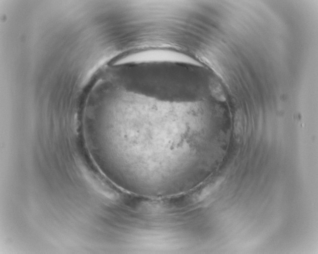 X0000088850351200706221706