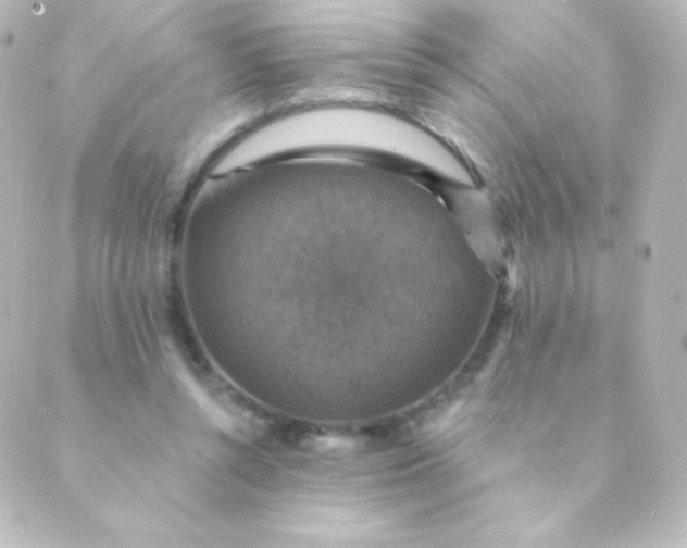 X0000088850352200706221706