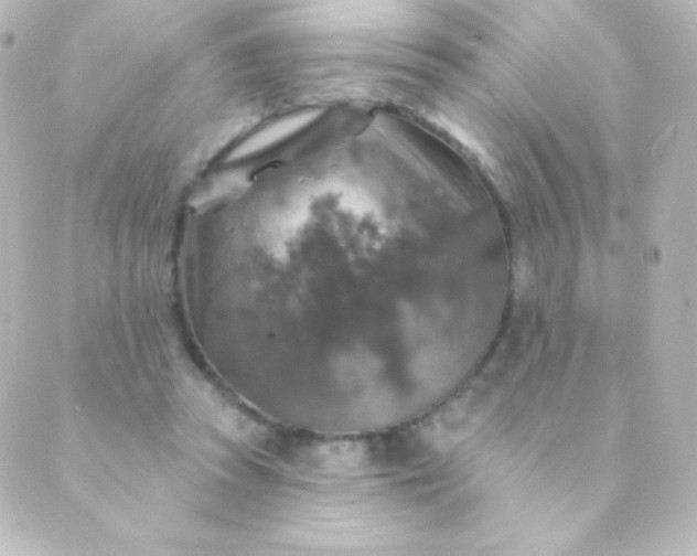 X0000088850353200706221706