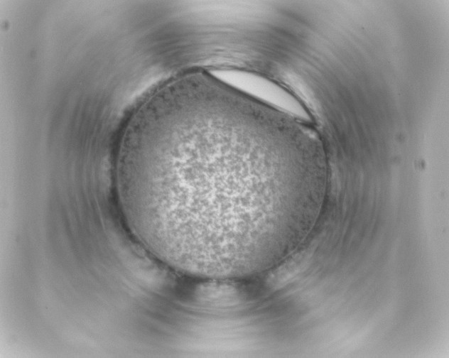 X0000088850354200706221706