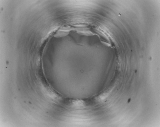 X0000088850355200706221706