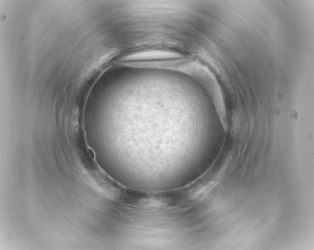 X0000088850356200706221706