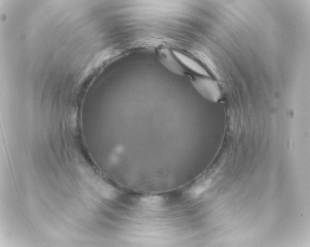 X0000088850357200706221706