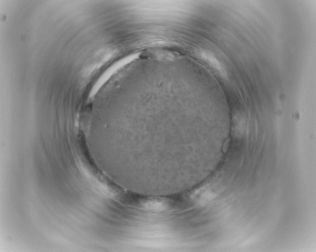 X0000088850358200706221706