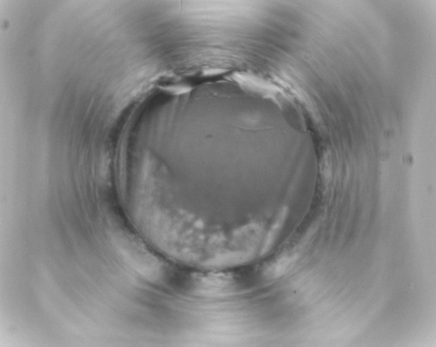 X0000088850359200706221706