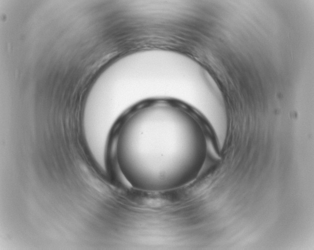 X0000088850360200706221706